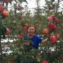 둥이네 농장 이미지