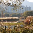 낙동강변8 이미지