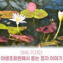 와선정 솔숲 | [SNS 기자단] 야생초화원에서 듣는 봉화 정자 이야기(feat. 닭실마을, 청암정과 함께 즐겨요)
