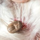 한가람동물의료센터 이미지