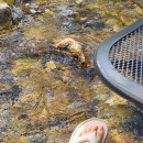 내원계곡라온펜션 | [경남/울산] 울주 계곡 앞 펜션 '라온펜션' 302호 내돈내산 부산근교 계곡펜션