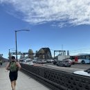 구리구리뽑기방 | 시드니의 2월 늦여름