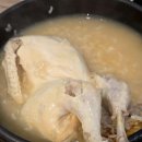 5682 | 독산동맛집 꼬숩다누룽지닭죽 독산점 삼계탕 보양식 먹고 온 후기