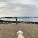 요기가펜션 이미지