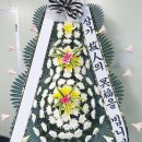 배철수 플라워
