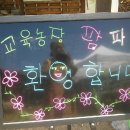 풀과꽃이야기 이미지