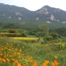 장흥 달바위펜션 이미지