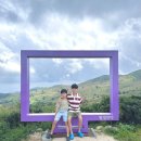 나눔투어 - 강서구 마곡중앙로 165 | 황매산 나눔카트 투어 후기 / 내돈내산