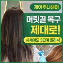 참조은미용실 - 달서구 | 광주 용산지구미용실 제이주니헤어 시세이도리페어 5단계클리닉 후기 동구미용실 머릿결 복구 제대로