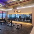 폭스짐 휘트니스 이미지