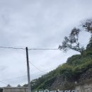 별을 다는 아이 이미지