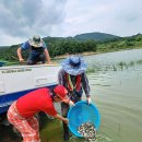 공공용 24 이미지