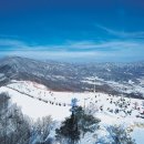 휘닉스 파크 이미지