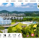 순천만쉼표 | 2025 순천만국제정원 후기 – 꽃과 정원, 그리고 순천이라는 도시