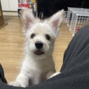 찌끄리 | 2026 생일생일생일 스압주의