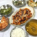 줄서는 강릉역 혼밥 정화식당 오징어볶음 후기