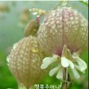 서울숲7 이미지