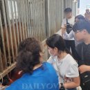 제주대학교 말전문동물병원 이미지