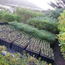 영림농장 이미지