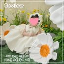 경기도의료원포천병원 | 육아기록) 포천의료원 신생아 피내용 bcg주사 접종, 고름 흉터 후기 6개월간의 기록