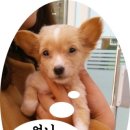 뉴월드 동물병원 이미지