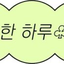 플루메리아 이미지