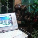 유피시리즈 이미지