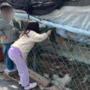 다은 농장 이미지