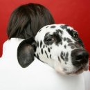 멍멍선생 이미지