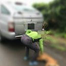 시흥리-6 이미지