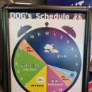 헬로우, 마루네 애견운동장 이미지