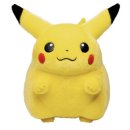 (주) 플레이런 | 2026 포켓몬 런 서울 티켓팅 성공 후기