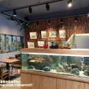 에콜로지아 이미지