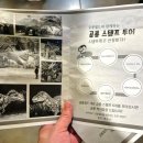 공룡발 - 강남구 강남대로 396 | 움직이는 공룡을 만난 시흥 공룡 월드 후기
