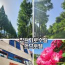 (창원여행) 창원 가로수길 용호로 핫플레이스 &amp; 드므호텔 이용후기