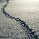 유정한의원 이미지