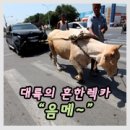 대륙자동차공업사