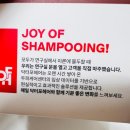 (주)소향 | [뷰티] 닥터포헤어 폴리젠 오리지널 샴푸 - 내돈내산 탈모 가려움 효과 본 샴푸 완전 추천 후기!