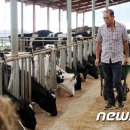 마우농장 이미지