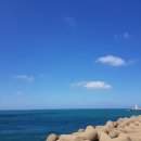 새별약국 이미지