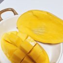 달콤한 민들레의 속 | 골드망고 프리미엄 망고 구입후기 내돈내산 달콤한디저트