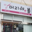 머리애봄 이미지