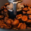 황제다방 | 대전 횟집 추천 파도수산, 형제횟집, 바다황제