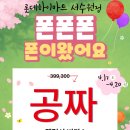 롯데하이마트(주) 서수원점 네이버블로그