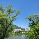 동천민물매운탕 이미지