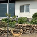 단양농협 대강지점 이미지