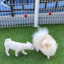 베베네 개스트하우스 이미지