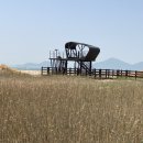 사하구 캐릭터 상징 이미지