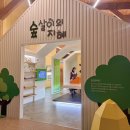 창원 목재문화체험장 이미지