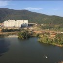 마동유원지 음악분수대 이미지